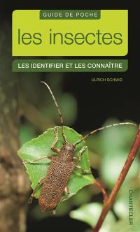 Les insectes : les identifier et les connaître