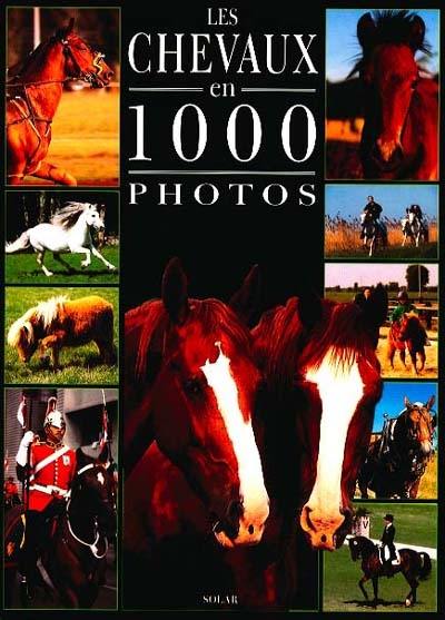 Les chevaux en 1000 photos