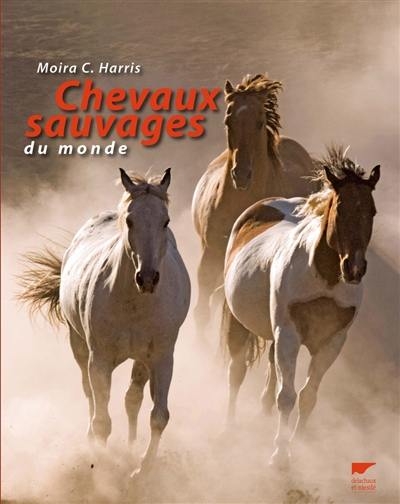 Chevaux sauvages du monde