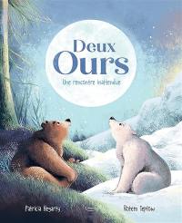 Deux ours : une rencontre inattendue