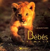 Bébés animaux