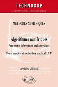 Méthodes numériques, algorithmes numériques : fondements théoriques et analyse pratique : cours, exercices et applications avec Matlab