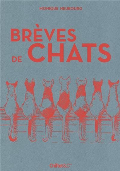 Brèves de chats