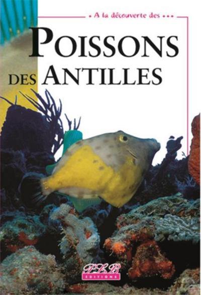 Poissons des Antilles