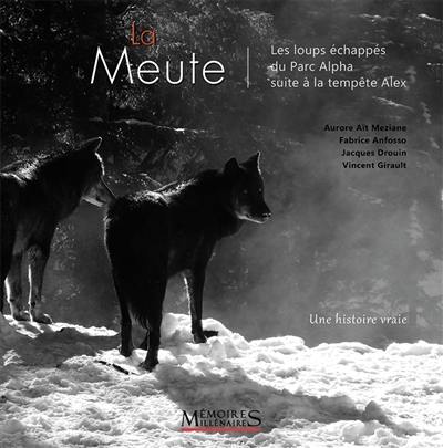 La meute : les loups échappés du Parc Alpha suite à la tempête Alex