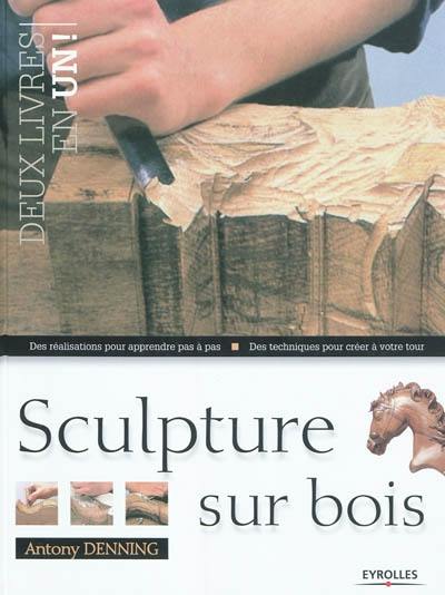 Sculpture sur bois : des réalisations pour apprendre pas à pas, des techniques pour créer à votre tour