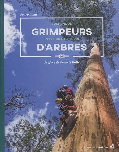 Grimpeurs d'arbres : suspendus entre ciel et terre