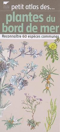 Petit atlas des plantes du bord de mer : reconnaître 60 espèces communes