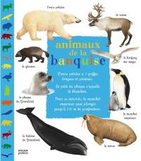 Animaux de la banquise