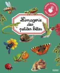 L'imagerie des petites bêtes