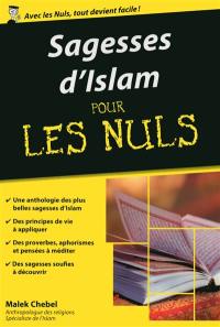 Sagesses d'islam pour les nuls