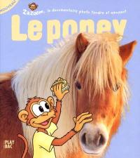 Zazoom et le poney