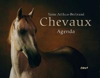 Chevaux : agenda