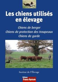 Les chiens utilisés en élevage : chiens de berger, chiens de protection des troupeaux, cheins de garde