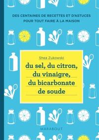 Du sel, du citron, du vinaigre, du bicarbonate de soude : des centaines de recettes et d'astuces pour tout faire à la maison