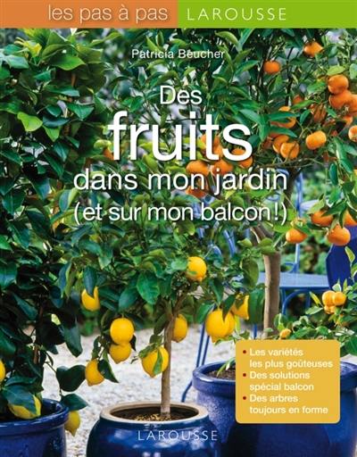 Des fruits dans mon jardin (et sur mon balcon !)