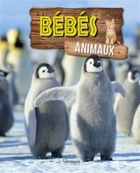 Bébés animaux