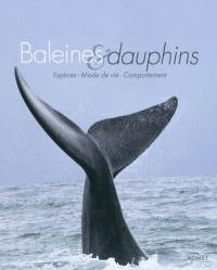 Baleines & dauphins : espèces, mode de vie, comportement