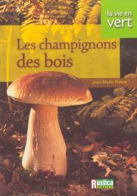 Les champignons des bois