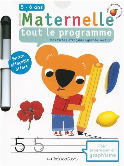 Découvertes maternelle, tout le programme : mes fiches effaçables grande section, 5-6 ans : pour progresser en graphisme