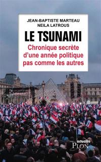 Le tsunami : chronique secrète d'une année politique pas comme les autres