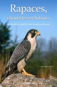 Rapaces, chouettes et hiboux : reconnaître et identifier toutes les espèces d'Europe