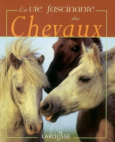 La vie fascinante des chevaux