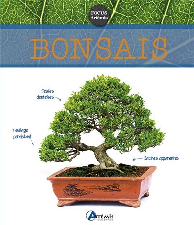 Bonsaïs