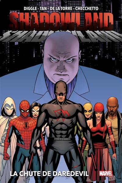 Shadowland. Vol. 1. La chute de Daredevil