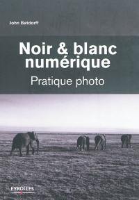 Noir et blanc numérique