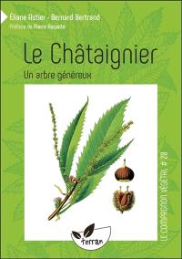 Le châtaignier, un arbre généreux