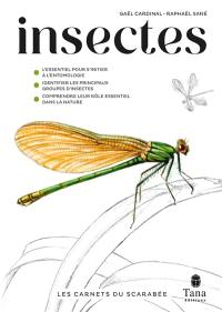 Insectes