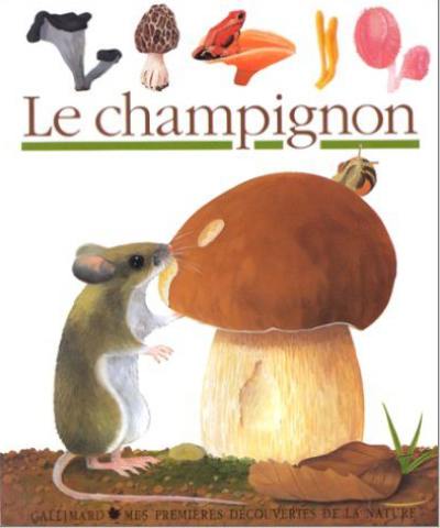 Le champignon