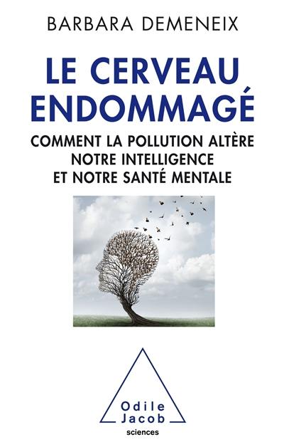 Le cerveau endommagé : comment la pollution altère notre intelligence et notre santé mentale