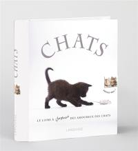 Chats : le premier livre animé pour tous les passionnés de chats