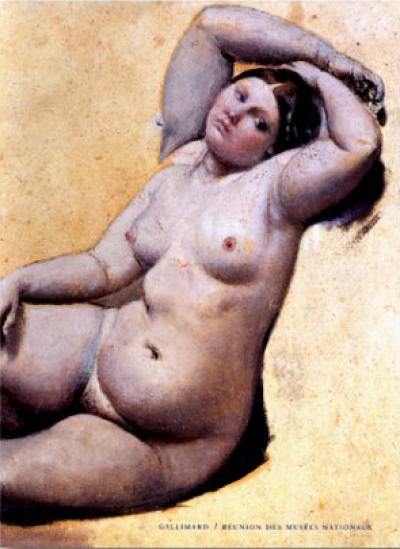 Dessins d'Ingres : catalogue raisonné des dessins du musée de Montauban