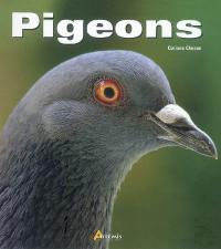 Pigeons