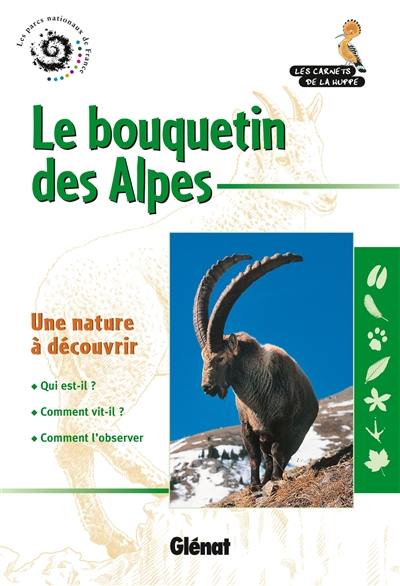 Le bouquetin des Alpes : une nature à découvrir