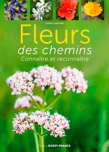 Fleurs des chemins : connaître et reconnaître