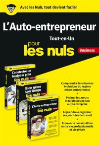 L'auto-entrepreneur tout-en-un pour les nuls : business