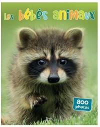 Les bébés animaux : 800 photos