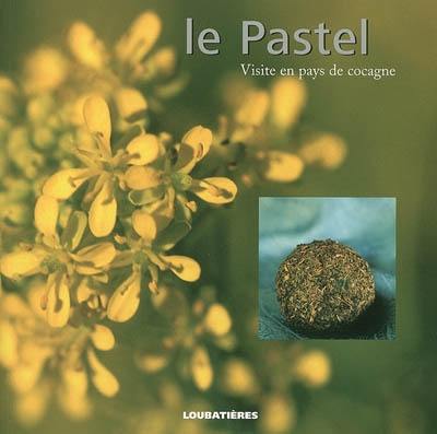 Le pastel : visite en pays de cocagne