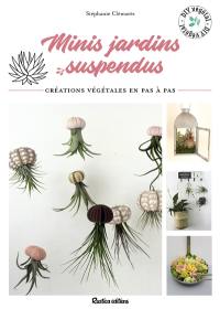 Mini jardins suspendus : créations végétales en pas à pas