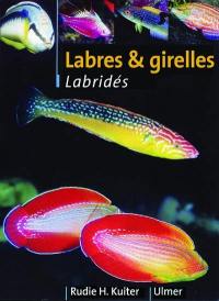 Labres et girelles : labridés