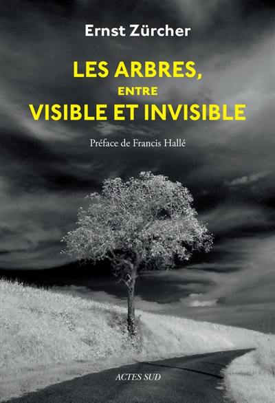 Les arbres, entre visible et invisible