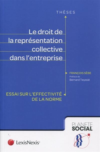 Le droit de la représentation collective dans l'entreprise : essai sur l'effectivité de la norme