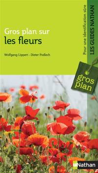 Gros plan sur les fleurs