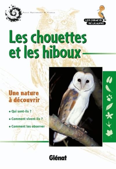 Les chouettes et les hiboux : une nature à découvrir