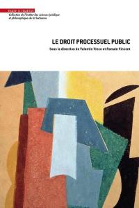 Le droit processuel public