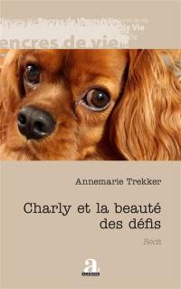 Charly et la beauté des défis : récit